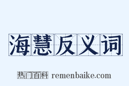 海慧反义词是什么意思的图片